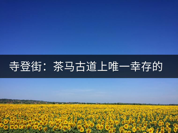 寺登街:茶馬古道上唯一幸存的古集市 寺登街:茶馬古道上唯一幸存的古集市