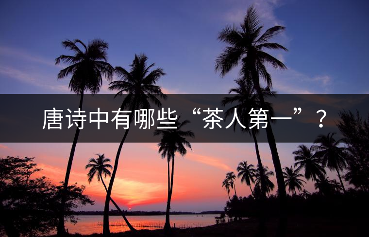 唐詩中有哪些“茶人第一”？