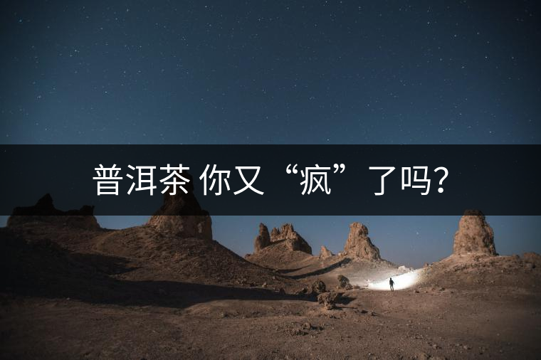 普洱茶 你又“瘋”了嗎？