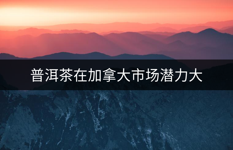 普洱茶在加拿大市場(chǎng)潛力大 普洱茶在加拿大市場(chǎng)潛力大