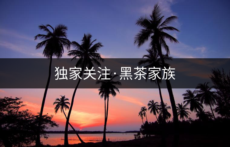 獨(dú)家關(guān)注·黑茶家族 獨(dú)家關(guān)注·黑茶家族
