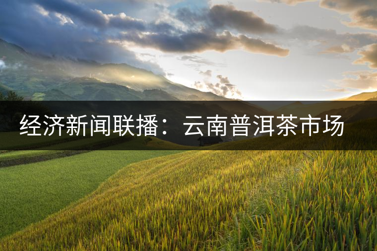 經濟新聞聯(lián)播:云南普洱茶市場調查 經濟新聞聯(lián)播:云南普洱茶市場調查