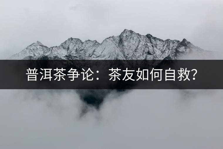 普洱茶爭論：茶友如何自救？