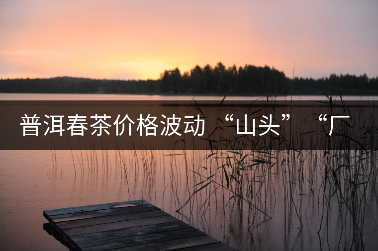 普洱春茶價(jià)格波動(dòng) “山頭”“廠貨”大不同——名山古樹  品的是歷史文化