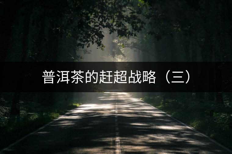 普洱茶的趕超戰(zhàn)略(三) 普洱茶的趕超戰(zhàn)略(三)