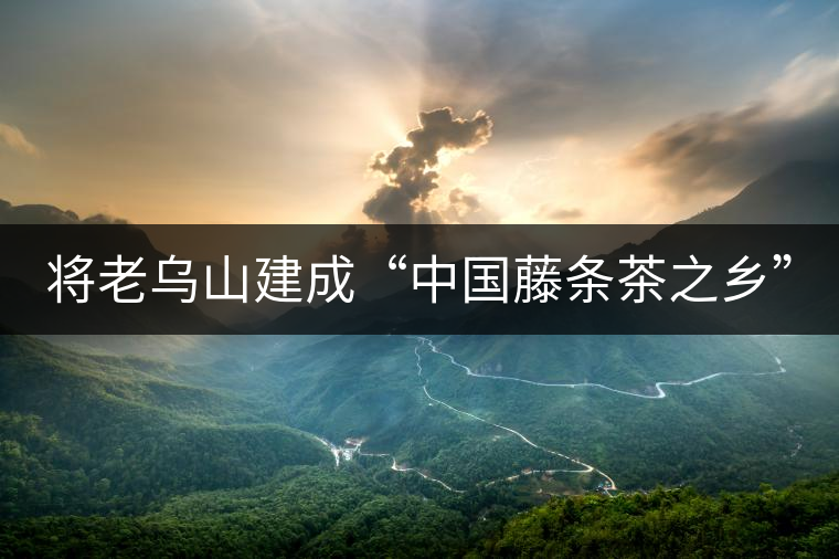 將老烏山建成“中國藤條茶之鄉(xiāng)” 將老烏山建成“中國藤條茶之鄉(xiāng)”