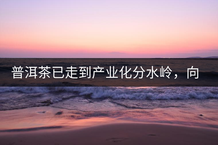 普洱茶已走到產(chǎn)業(yè)化分水嶺，向左還是向右？