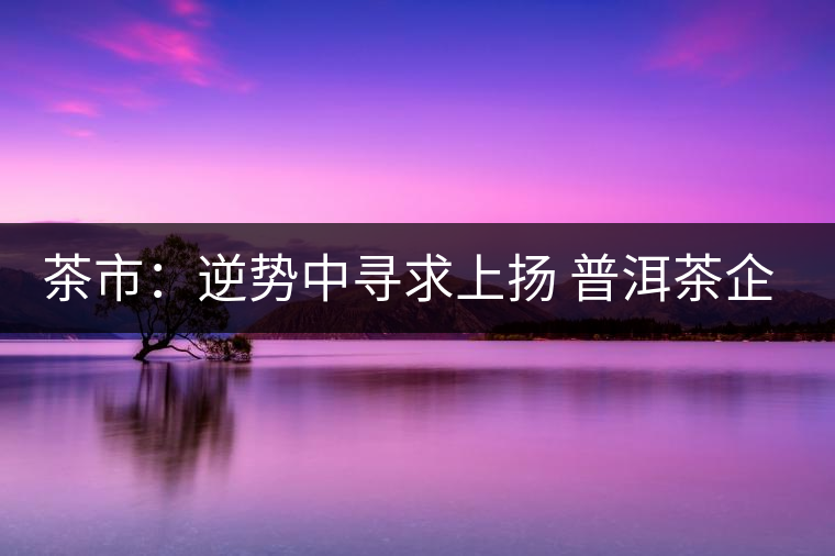 茶市：逆勢(shì)中尋求上揚(yáng) 普洱茶企靠什么打贏這場(chǎng)翻身仗？
