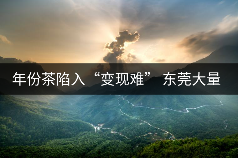年份茶陷入“變現(xiàn)難” 東莞大量藏家被套 年份茶陷入“變現(xiàn)難” 東莞大量藏家被套