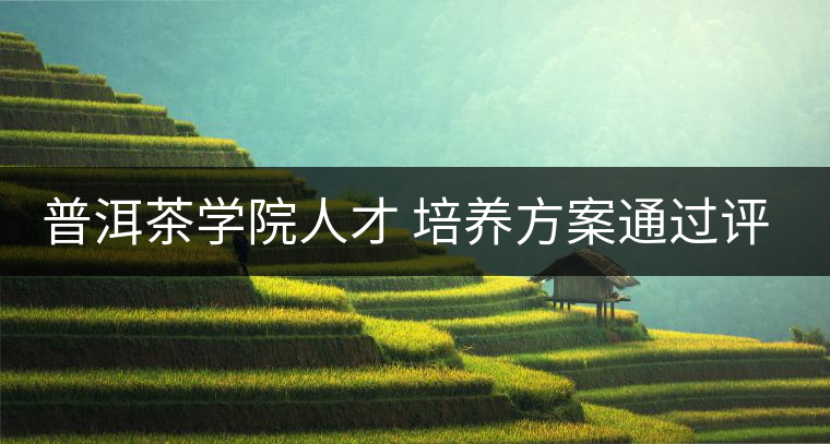 普洱茶學(xué)院人才 培養(yǎng)方案通過評(píng)審 普洱茶學(xué)院人才 培養(yǎng)方案通過評(píng)審