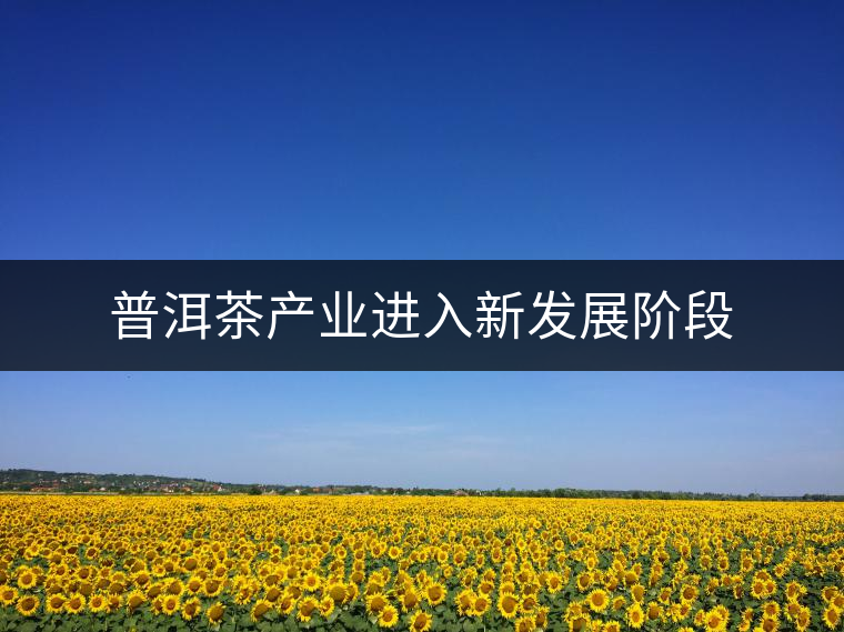 普洱茶產(chǎn)業(yè)進(jìn)入新發(fā)展階段
