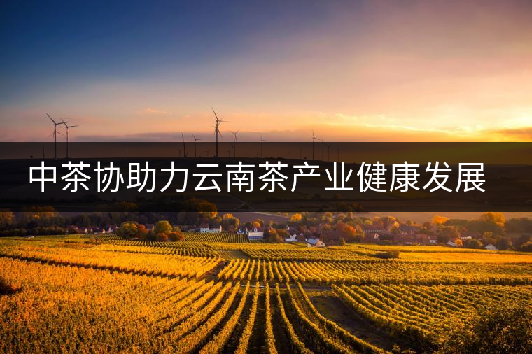 中茶協(xié)助力云南茶產(chǎn)業(yè)健康發(fā)展——第十一屆中國(guó)云南普洱茶國(guó)際博覽交易會(huì)隆重舉行