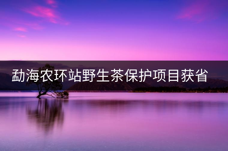 勐海農(nóng)環(huán)站野生茶保護(hù)項(xiàng)目獲省農(nóng)業(yè)技術(shù)推廣三等獎(jiǎng) 勐海農(nóng)環(huán)站野生茶保護(hù)項(xiàng)目獲省農(nóng)業(yè)技術(shù)推廣三等獎(jiǎng)