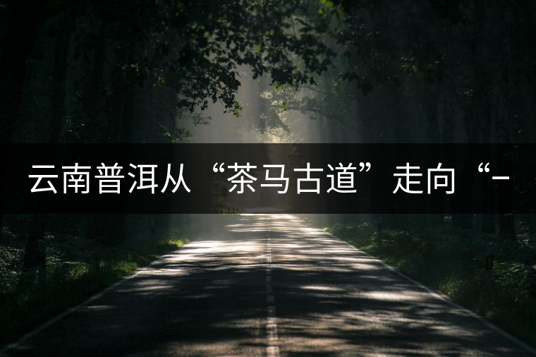 云南普洱從“茶馬古道”走向“一帶一路” 云南普洱從“茶馬古道”走向“一帶一路”