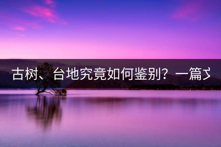 古樹、臺地究竟如何鑒別？一篇文章說透！