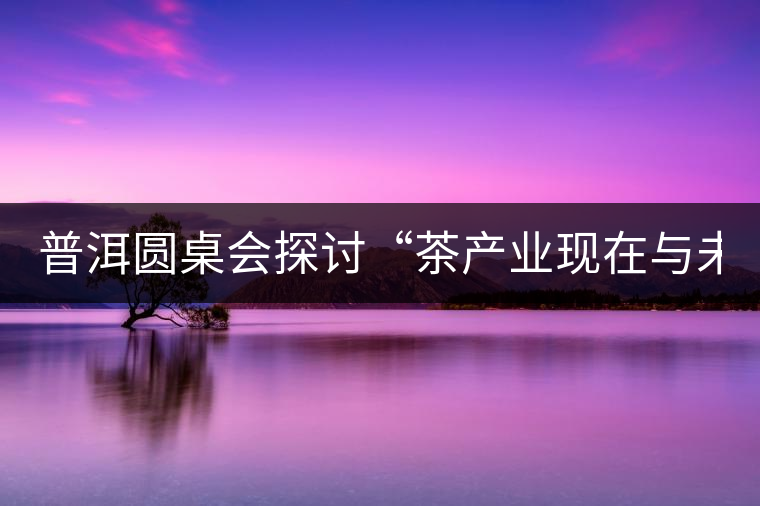 普洱圓桌會(huì)探討“茶產(chǎn)業(yè)現(xiàn)在與未來” 普洱圓桌會(huì)探討“茶產(chǎn)業(yè)現(xiàn)在與未來”