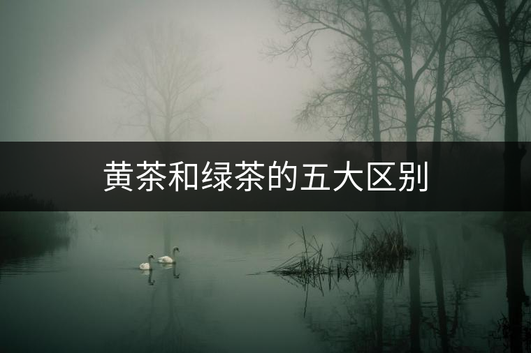 黃茶和綠茶的五大區(qū)別