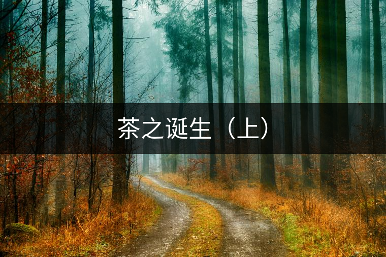 茶之誕生(上) 茶之誕生(上)