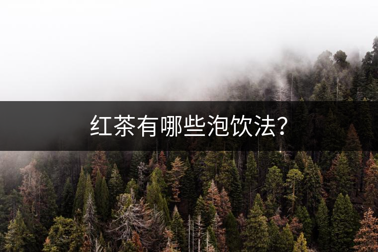 紅茶有哪些泡飲法？