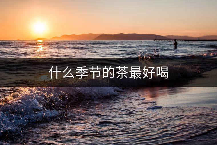 什么季節(jié)的茶最好喝 什么季節(jié)的茶最好喝