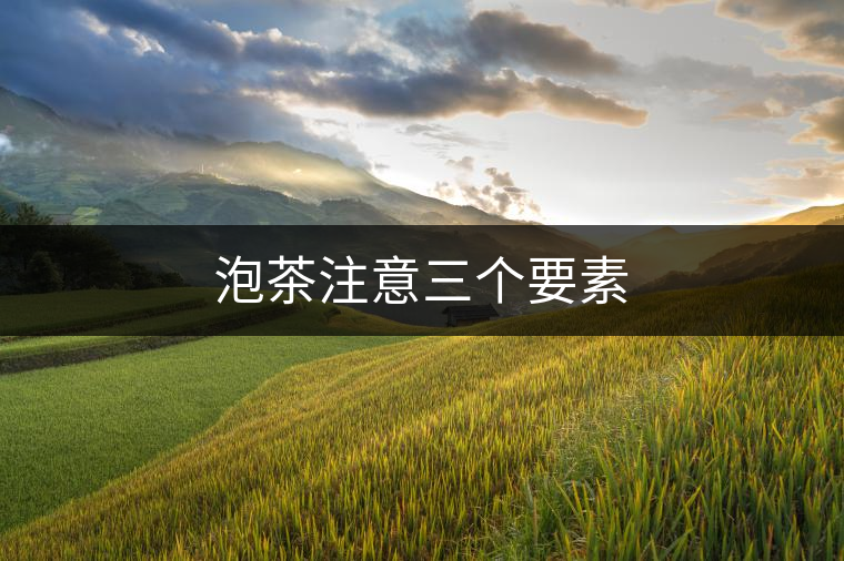 泡茶注意三個要素 泡茶注意三個要素