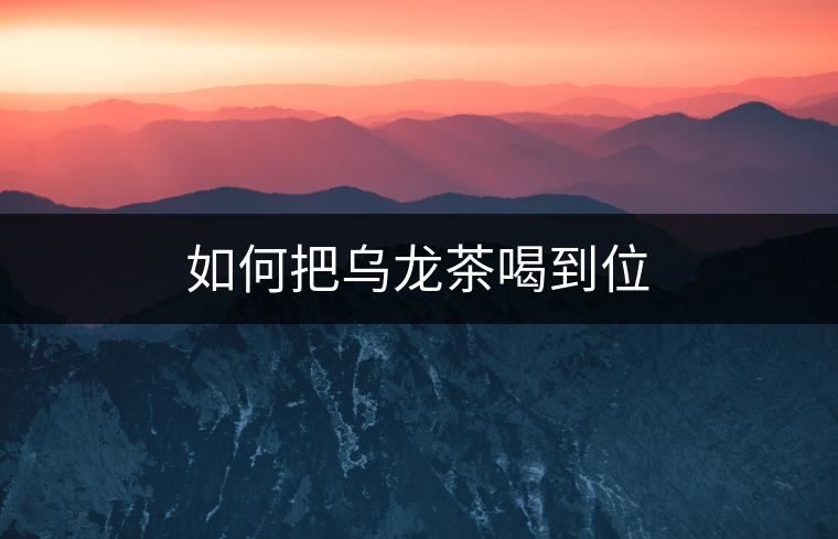 如何把烏龍茶喝到位