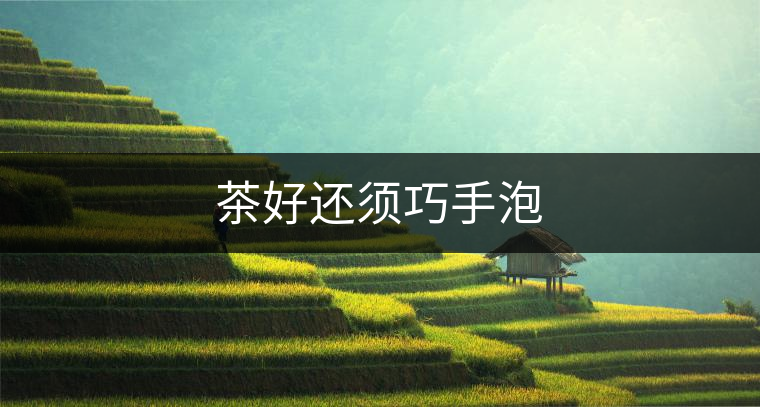 茶好還須巧手泡 茶好還須巧手泡