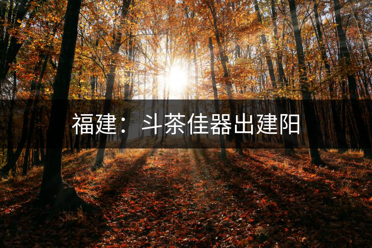 福建：斗茶佳器出建陽