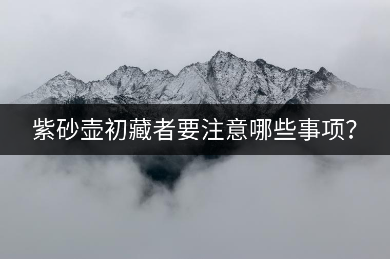 紫砂壺初藏者要注意哪些事項(xiàng)？