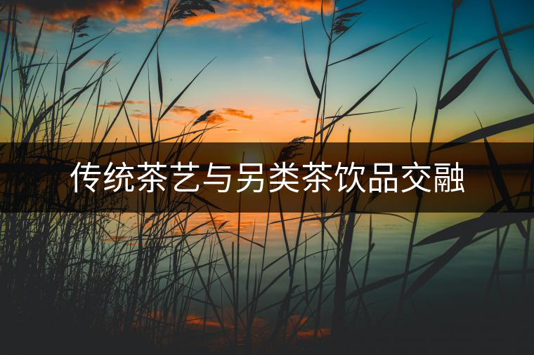 傳統(tǒng)茶藝與另類茶飲品交融 傳統(tǒng)茶藝與另類茶飲品交融