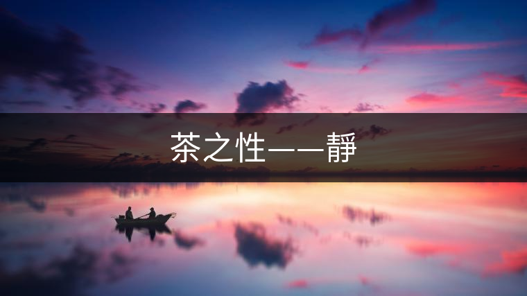 茶之性——靜 茶之性——靜