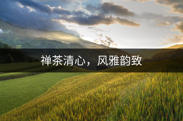 禪茶清心,風雅韻致 禪茶清心,風雅韻致