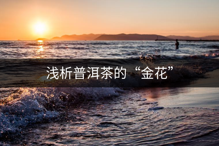 淺析普洱茶的“金花” 淺析普洱茶的“金花”