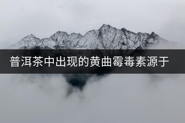普洱茶中出現(xiàn)的黃曲霉毒素源于二次污染 普洱茶中出現(xiàn)的黃曲霉毒素源于二次污染