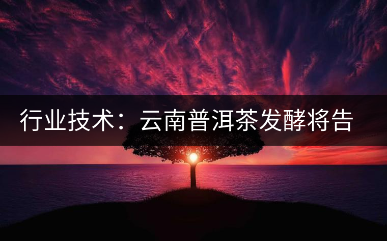 行業(yè)技術:云南普洱茶發(fā)酵將告別手工翻堆 行業(yè)技術:云南普洱茶發(fā)酵將告別手工翻堆