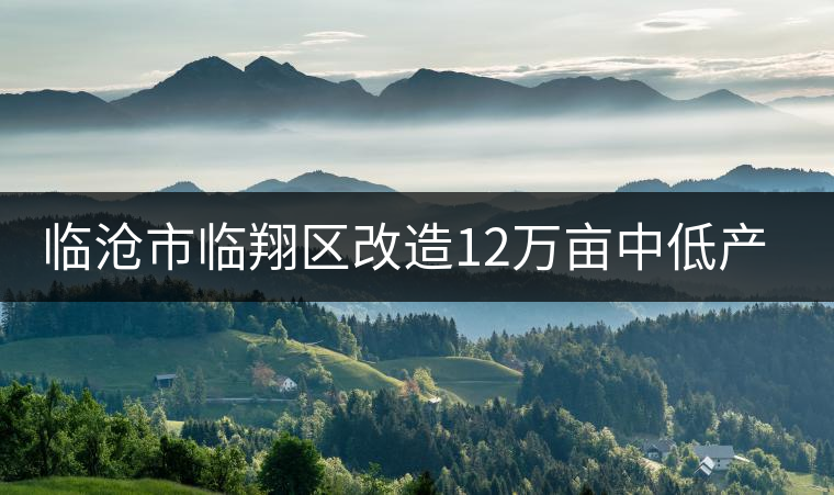 臨滄市臨翔區(qū)改造12萬(wàn)畝中低產(chǎn)茶園 臨滄市臨翔區(qū)改造12萬(wàn)畝中低產(chǎn)茶園