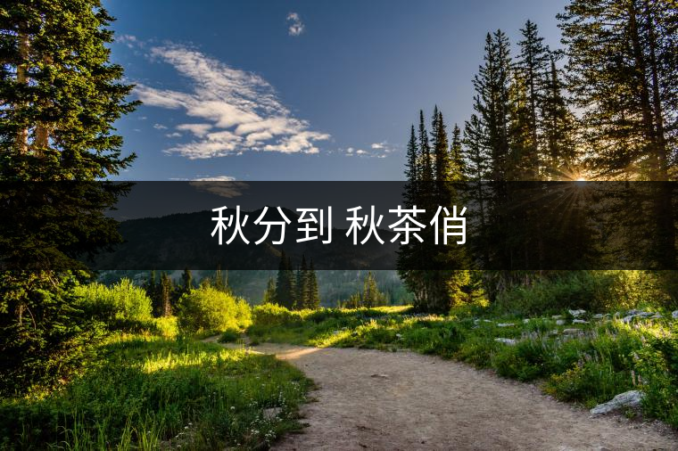 秋分到 秋茶俏 秋分到 秋茶俏