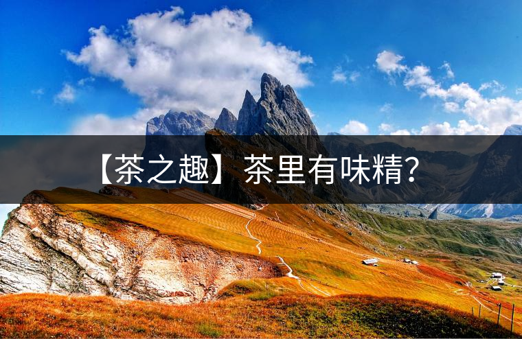 【茶之趣】茶里有味精？