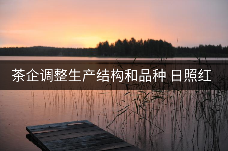 茶企調(diào)整生產(chǎn)結(jié)構(gòu)和品種 日照紅茶產(chǎn)量銷量齊看漲 茶企調(diào)整生產(chǎn)結(jié)構(gòu)和品種 日照紅茶產(chǎn)量銷量齊看漲