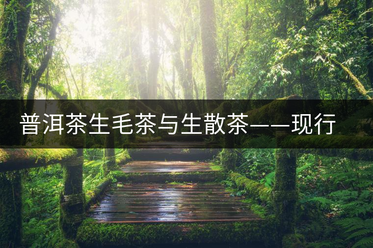 普洱茶生毛茶與生散茶——現(xiàn)行普洱茶標(biāo)準(zhǔn)的重要缺失 普洱茶生毛茶與生散茶——現(xiàn)行普洱茶標(biāo)準(zhǔn)的重要缺失