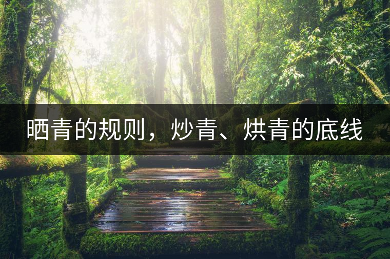 曬青的規(guī)則，炒青、烘青的底線