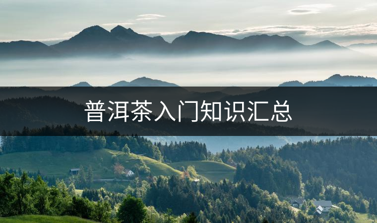 普洱茶入門知識匯總 普洱茶入門知識匯總