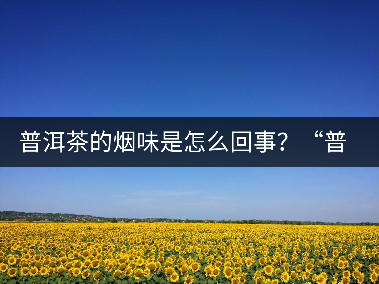 普洱茶的煙味是怎么回事？“普洱教父”白水清最新解析！