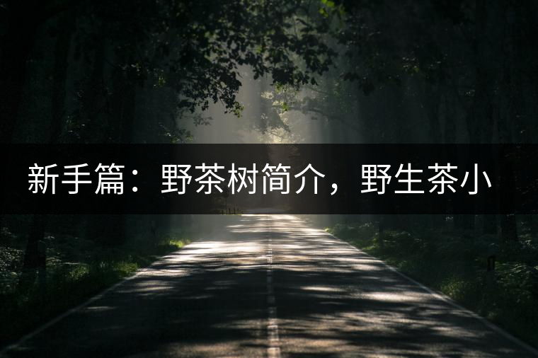 新手篇：野茶樹簡介，野生茶小知識