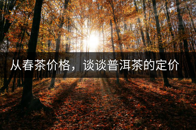 從春茶價(jià)格,談?wù)勂斩璧亩▋r(jià)權(quán) 從春茶價(jià)格,談?wù)勂斩璧亩▋r(jià)權(quán)