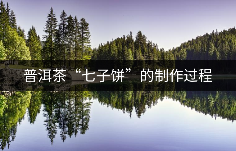 普洱茶“七子餅”的制作過程 普洱茶“七子餅”的制作過程