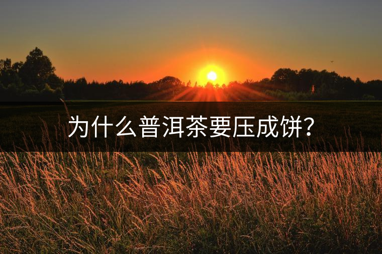 為什么普洱茶要壓成餅？