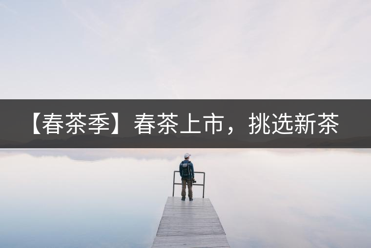 【春茶季】春茶上市，挑選新茶有講究