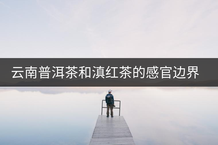 云南普洱茶和滇紅茶的感官邊界線在哪里?
