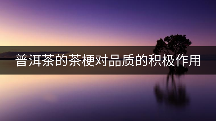 普洱茶的茶梗對品質(zhì)的積極作用